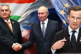 Jste ostudou Evropy, půjdeme do vás, vzkázal nováč...